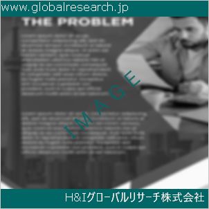 グローバルリサーチ調査資料のイメージ